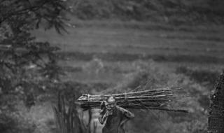 一念成痴,一痴为殇这句话是什么意思 一念情深再念成殇