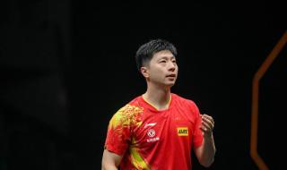 wtt世界杯是什么大赛 wtt乒乓球世界杯是在斯洛文尼亚比赛